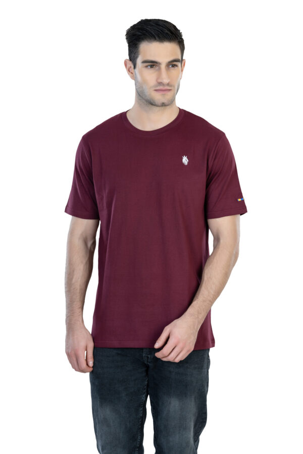 DF Basics Men's 100% Cotton Round Neck T-Shirt for Casual Comfort - Burgundy