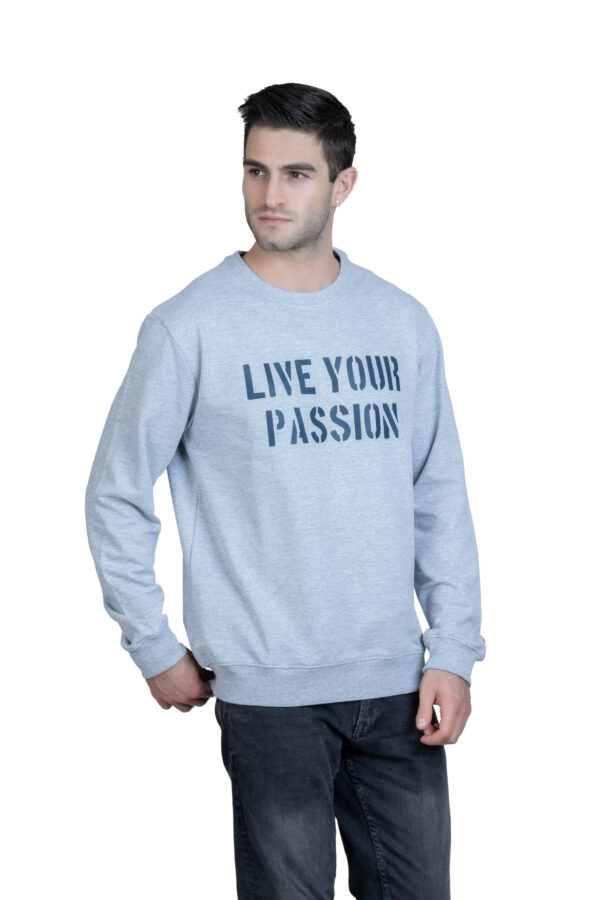 DF Cozy Comfort, Unisex Style 100% Cotton Sweatshirt for All-Day Relaxation - Lite Gray - Image 2